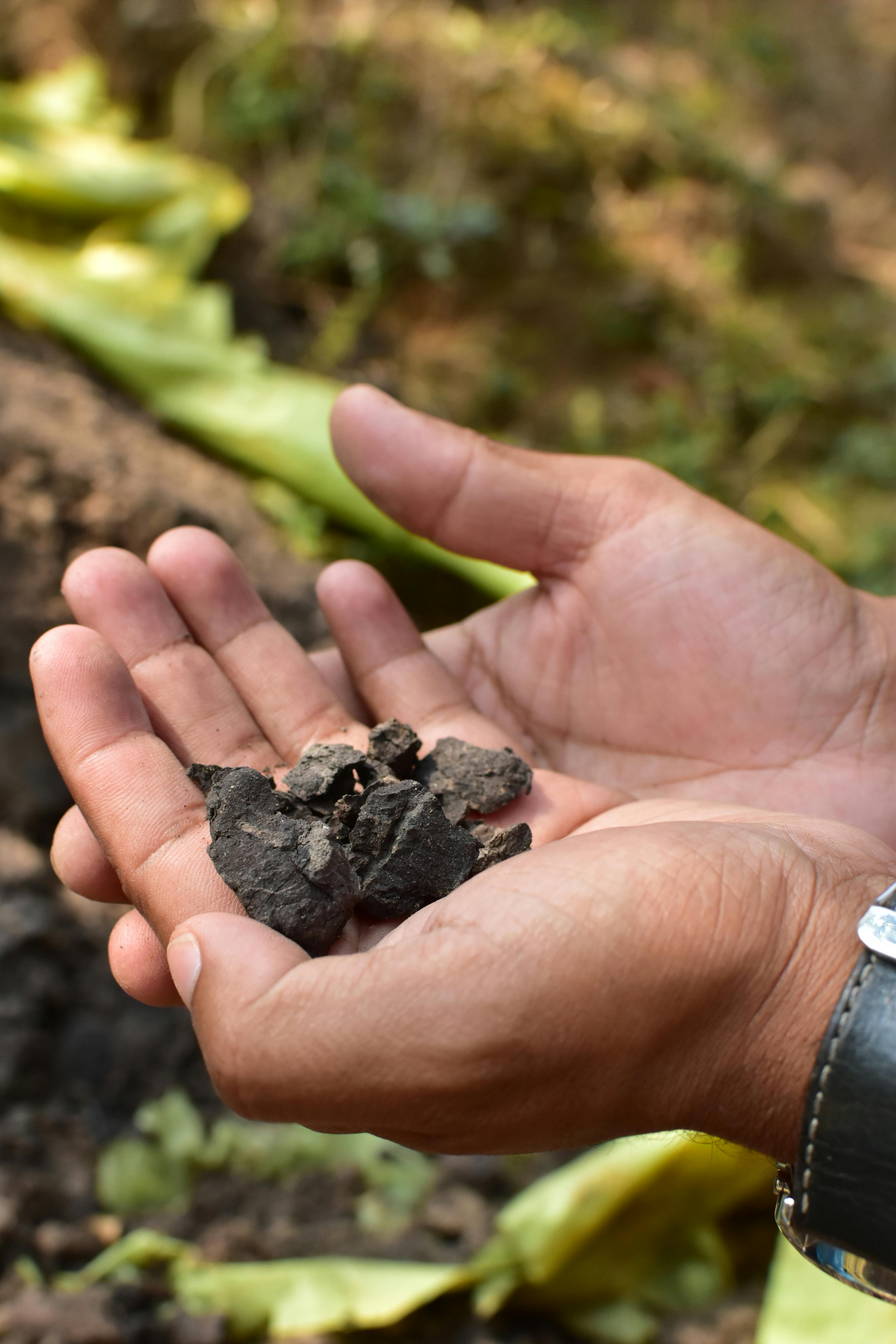 Monitoreo Arqueológico